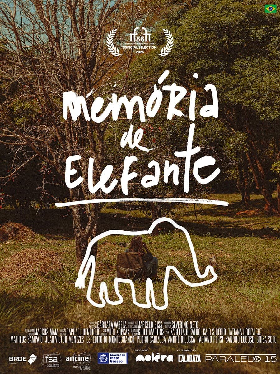 Memória de Elefante