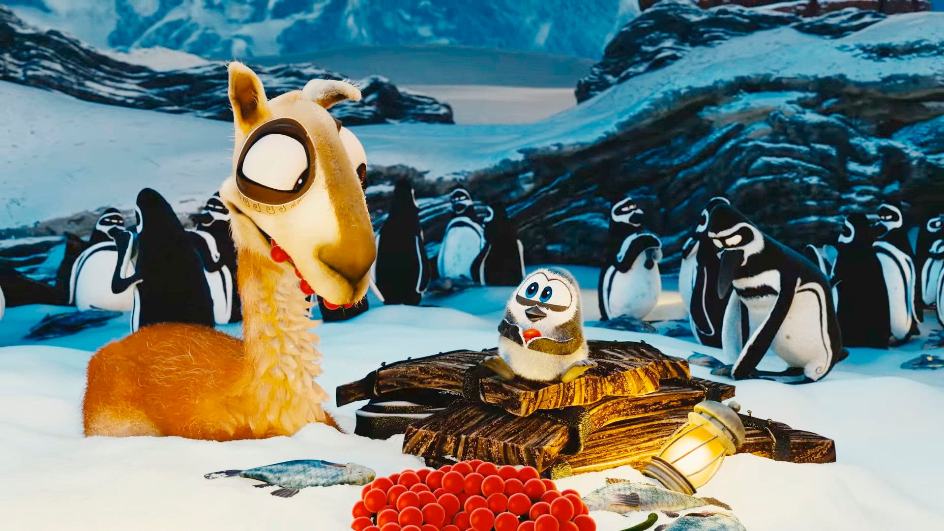 Caminandes Collection