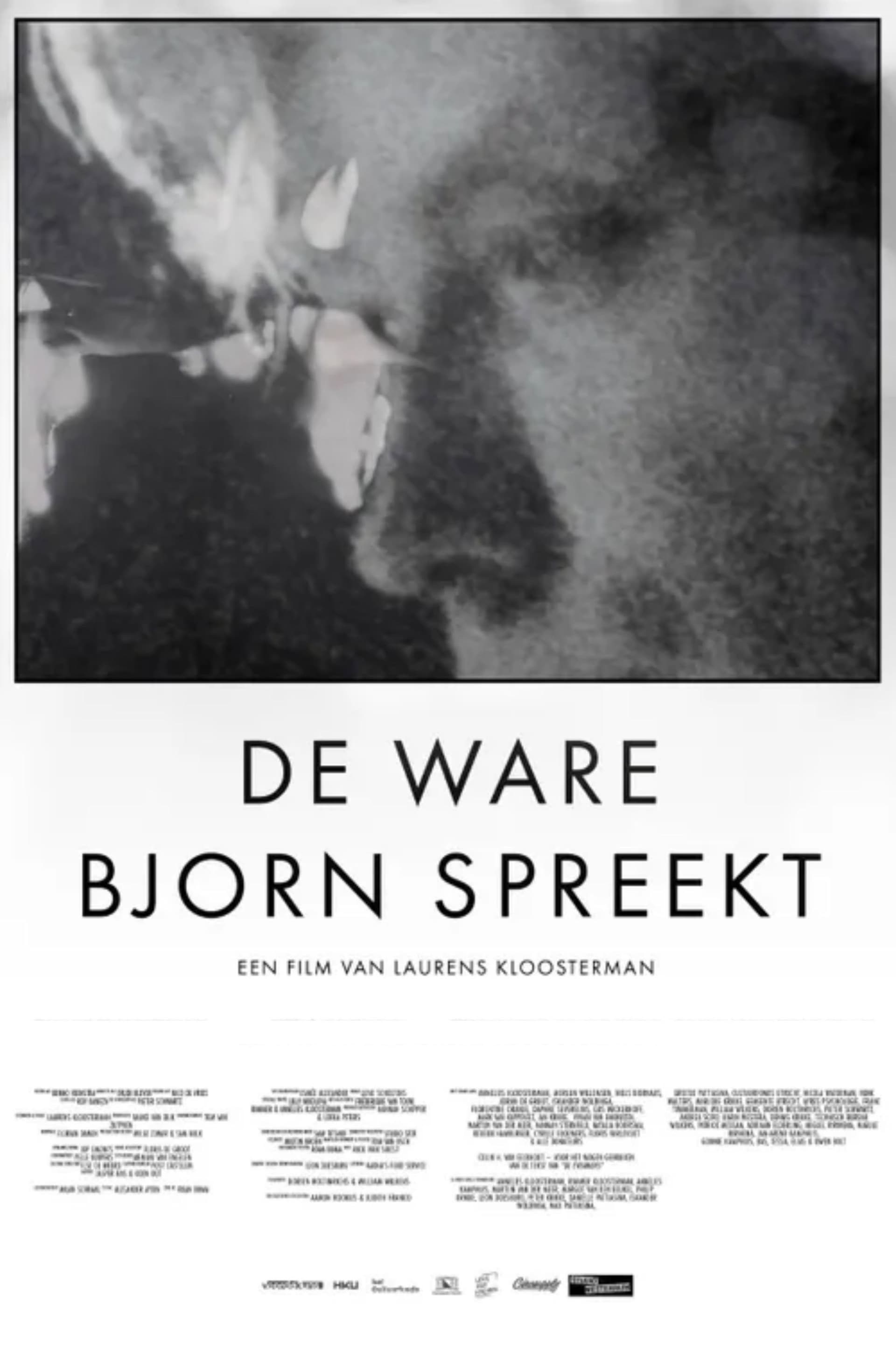 De Ware Bjorn Spreekt