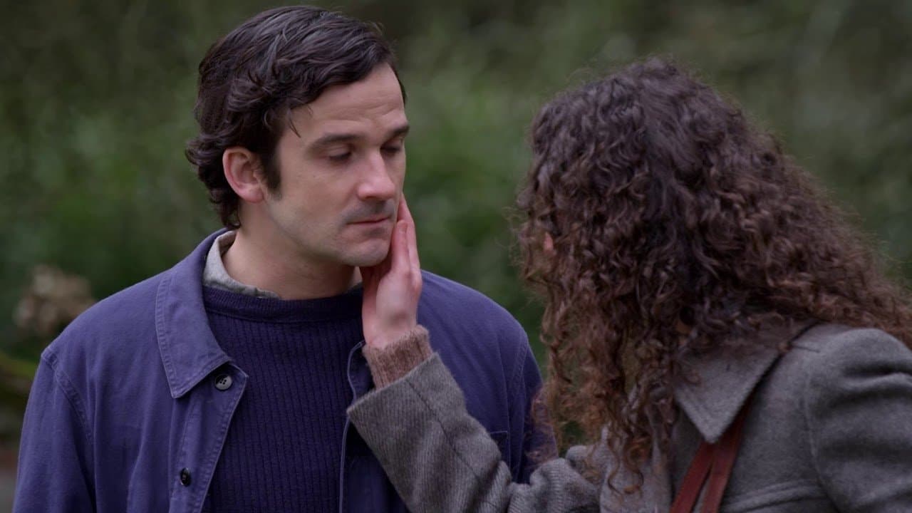 The Shelburn Network