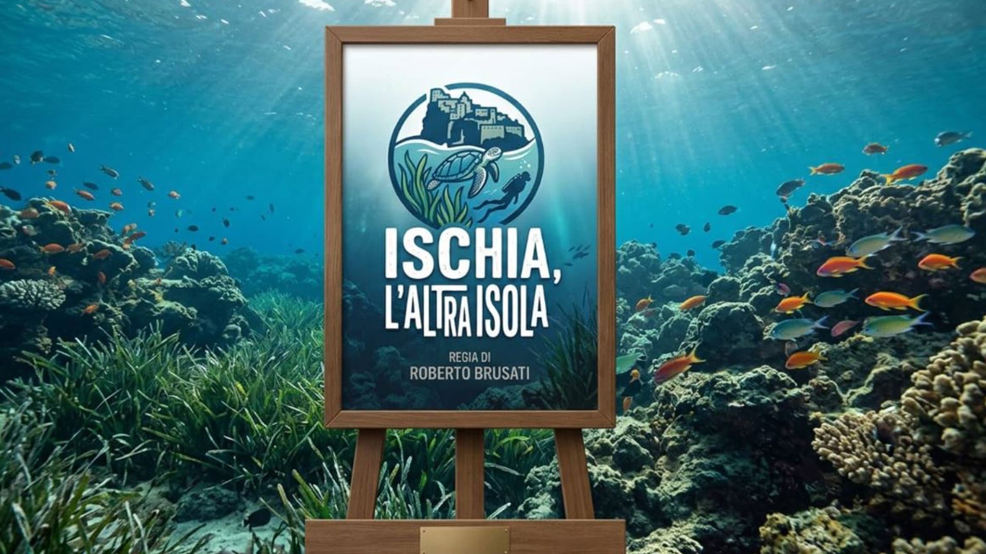 ISCHIA, L'ALTRA ISOLA - Viaggio nel suo mondo sommerso, immagini, natura e biodiversità nel “Regno di Nettuno