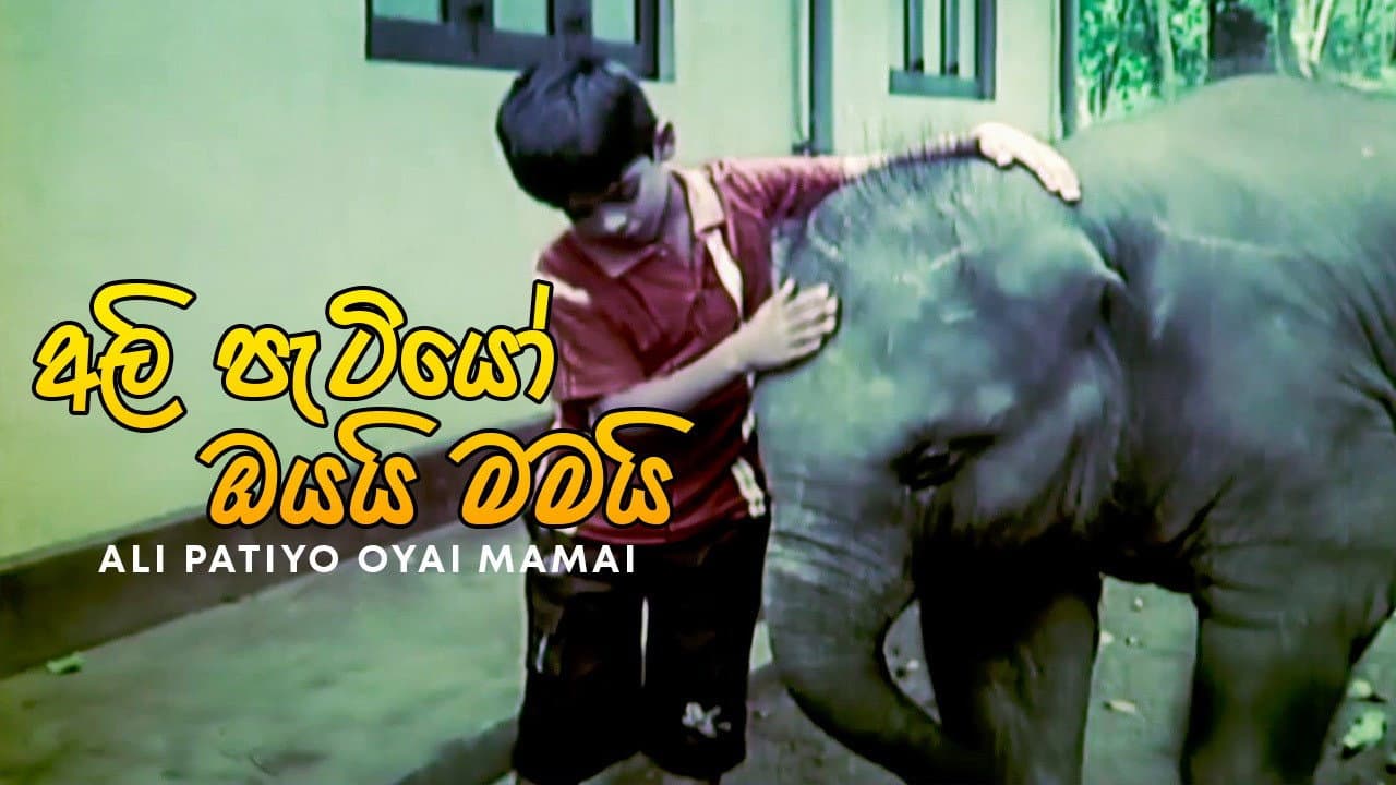 The Baby Elephants Are Yours and Mine