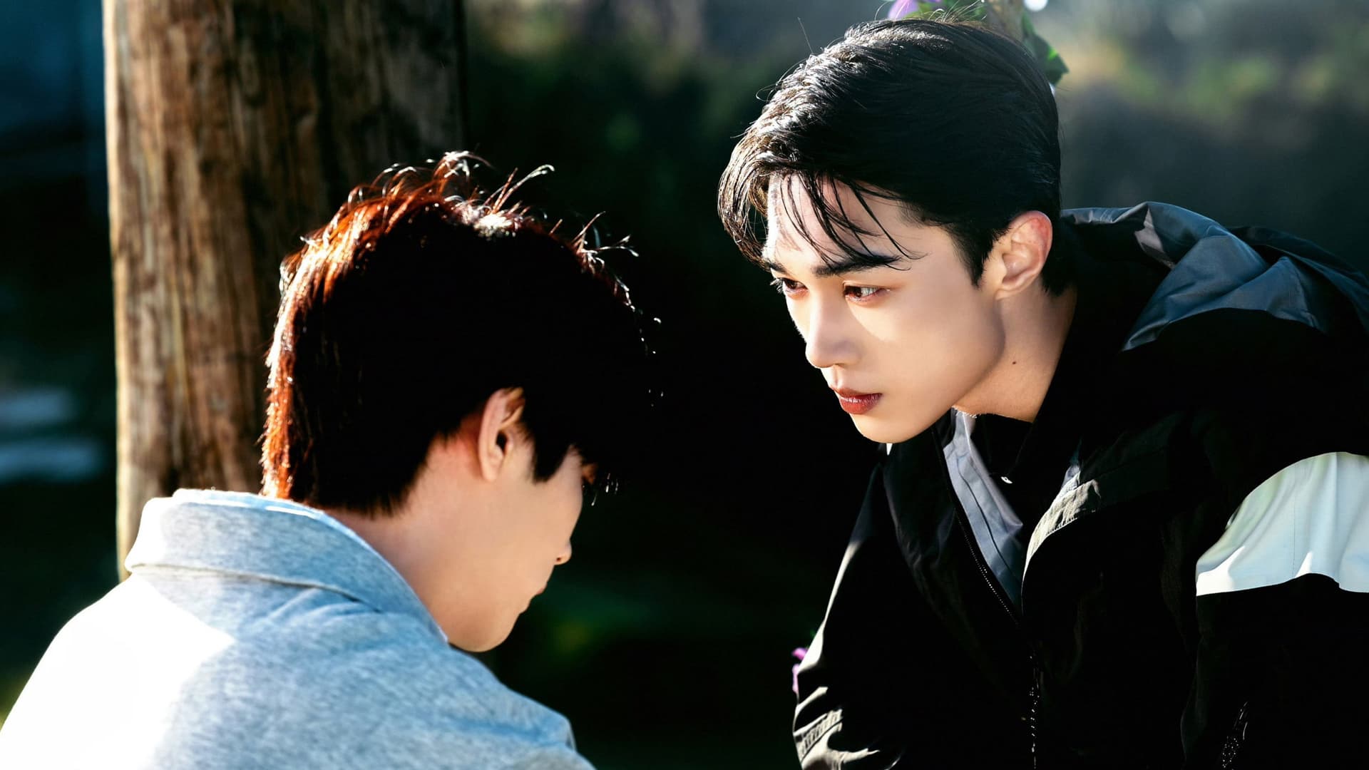 The Gaze