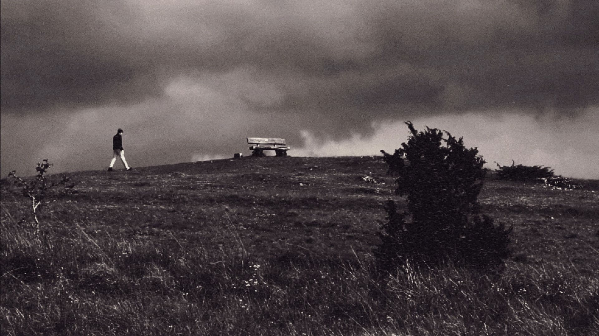 The Bizarre Reparation of Guilt