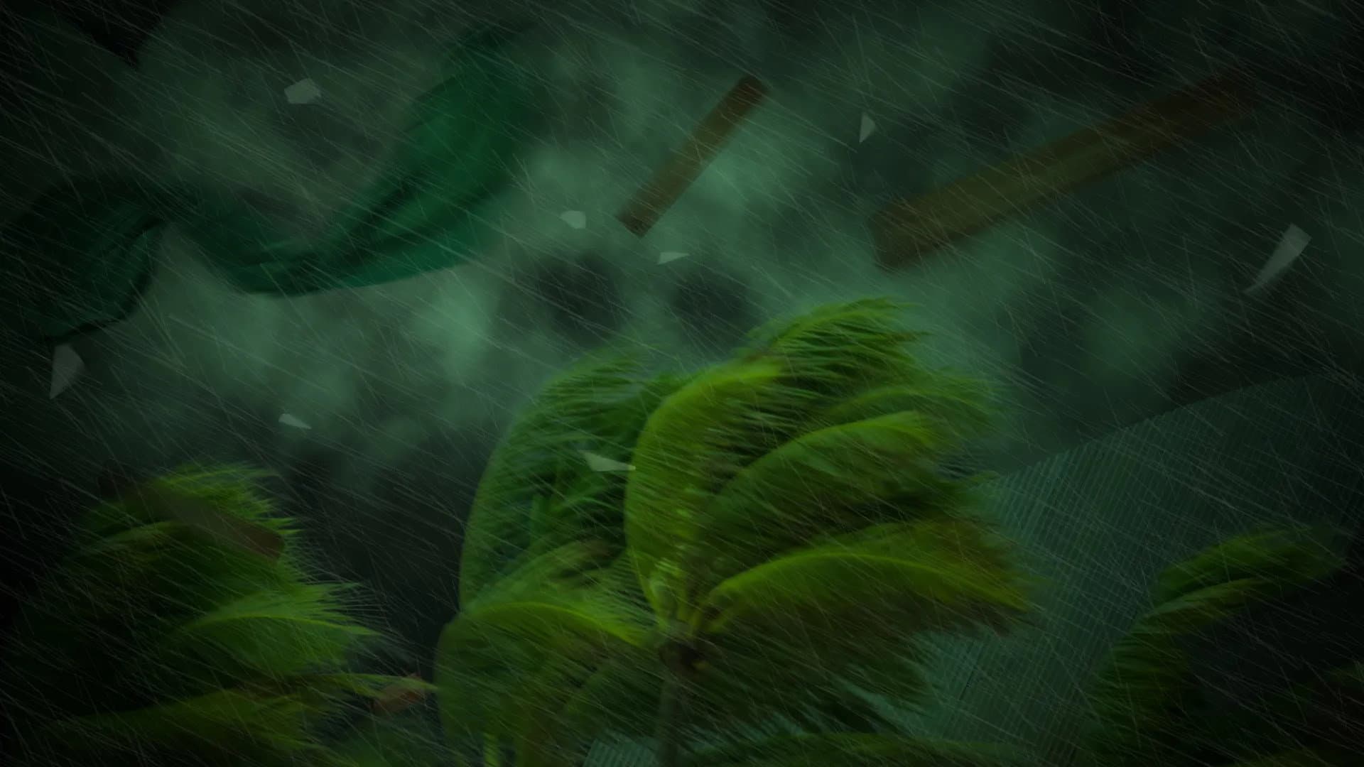 Tracy: A Force of Nature