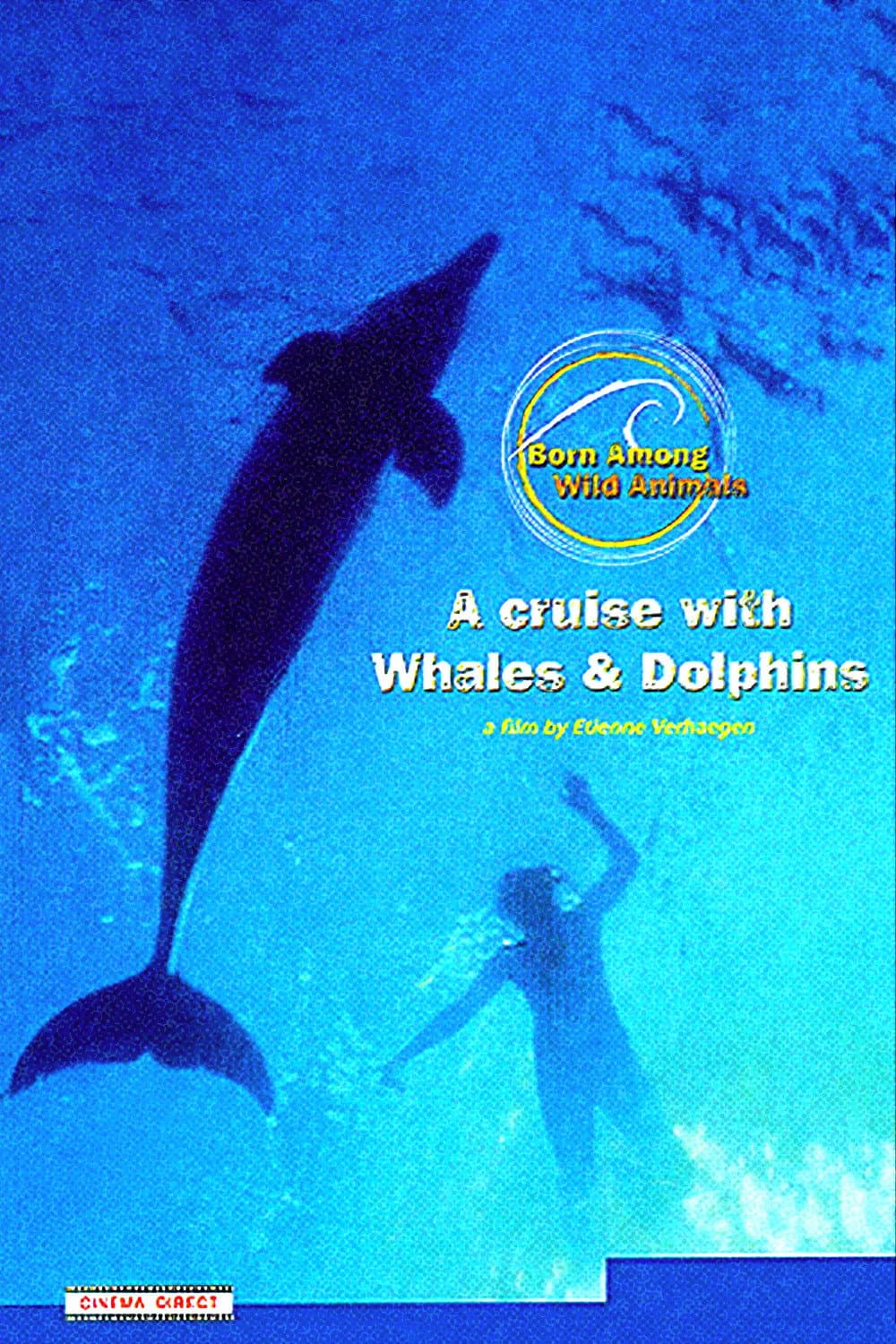 A Cruise with Whales and Dolphins