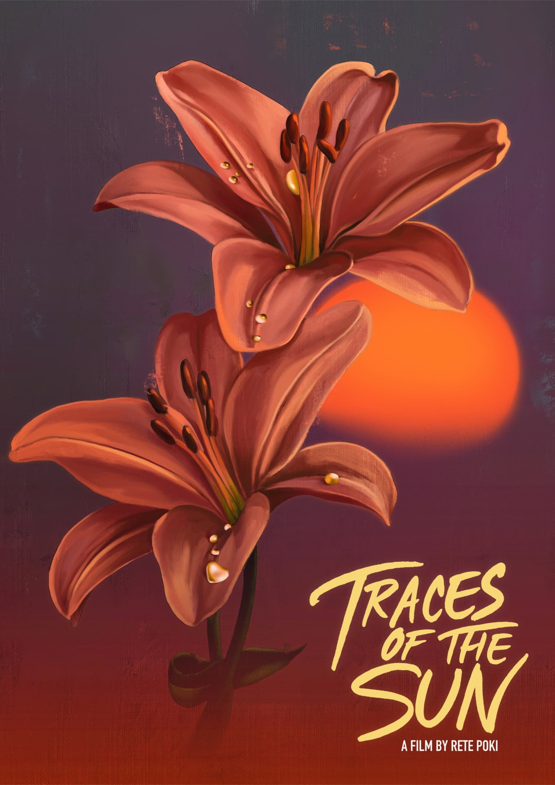 Traces Of The Sun