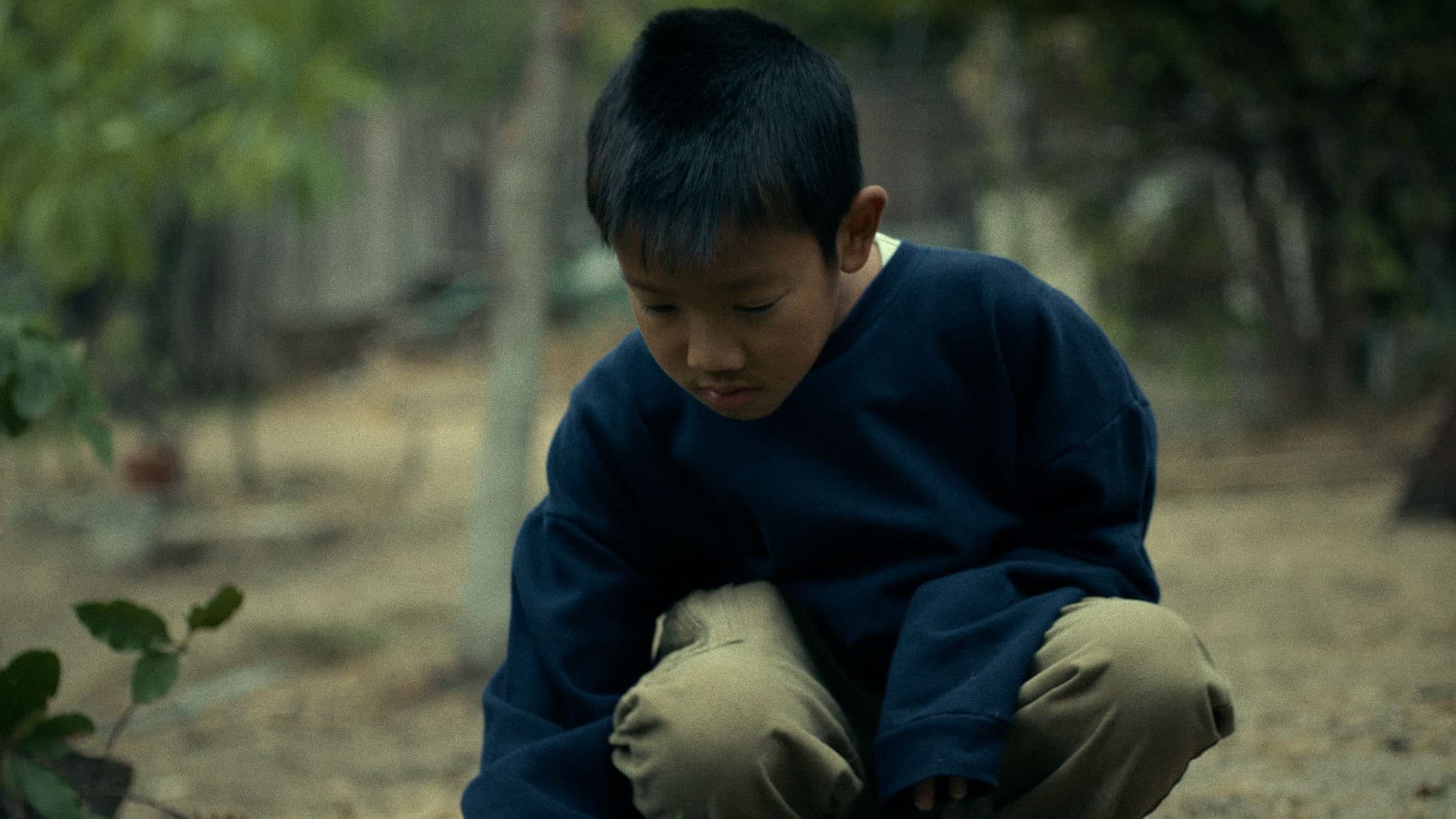 Forever is a Delicate Thing