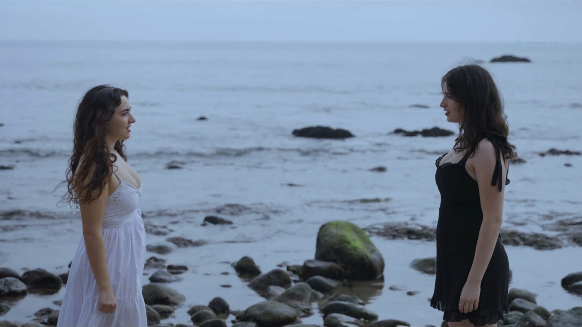 Visions Of Strangers