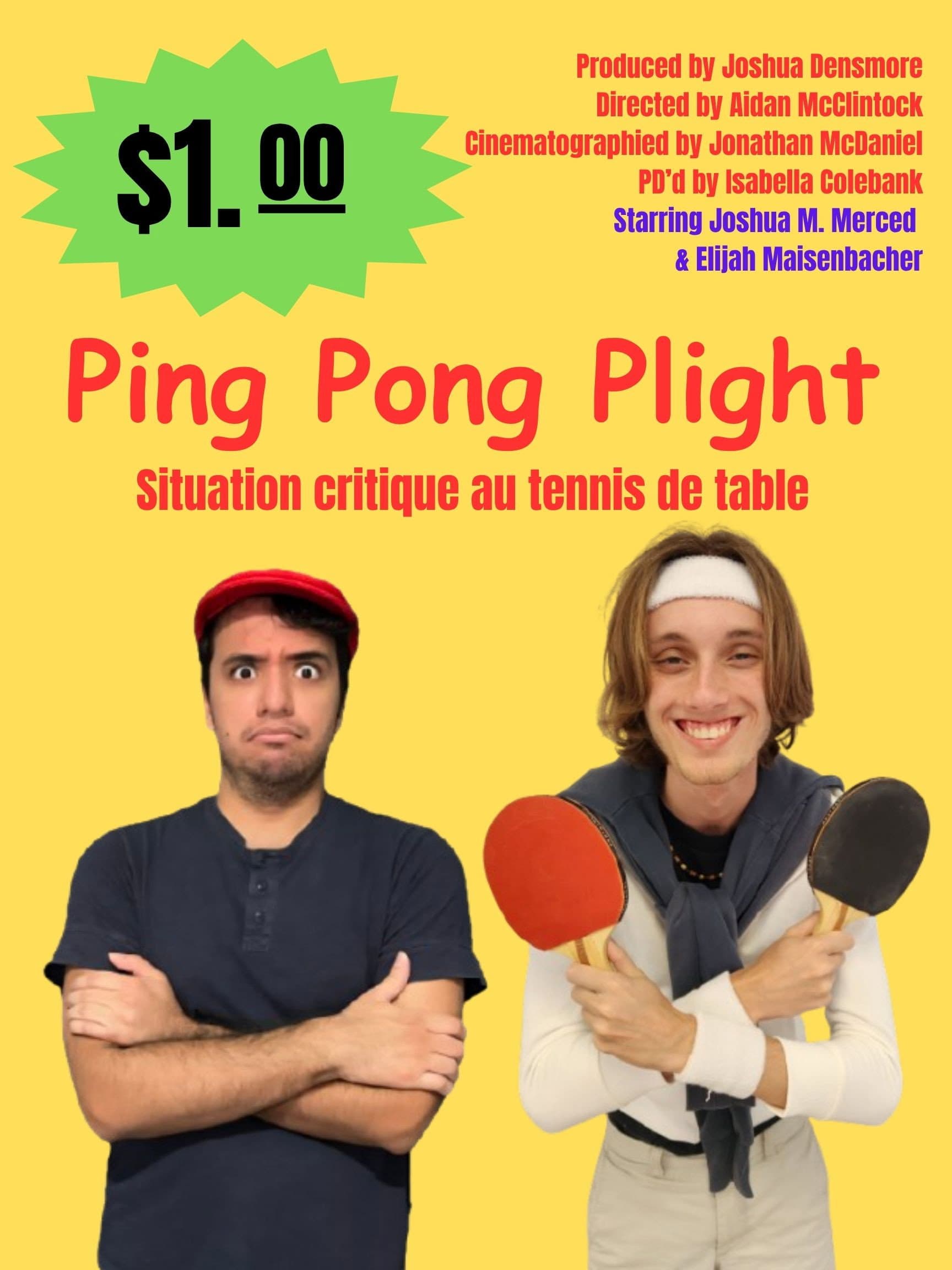 Ping Pong Plight