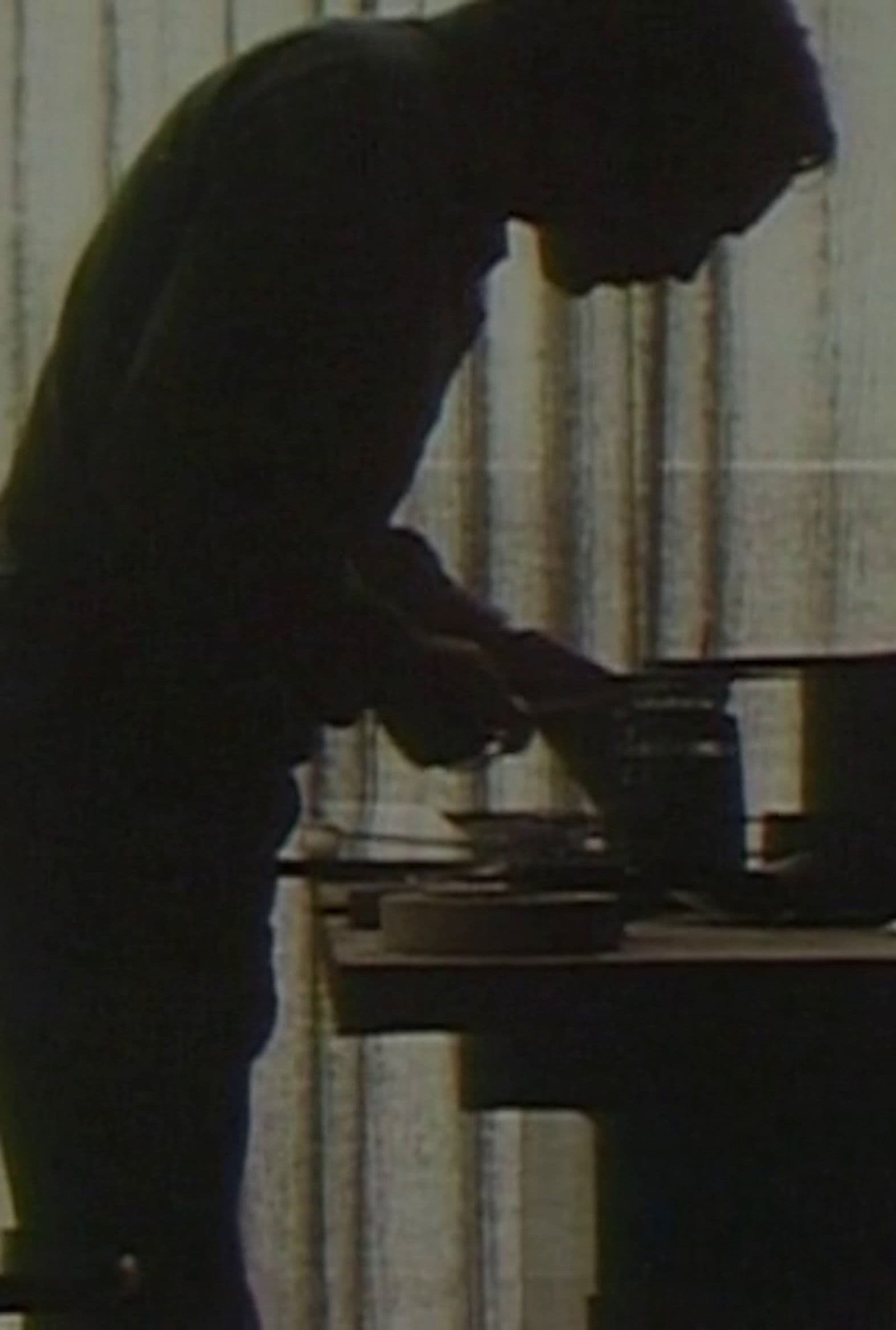 Moving Pictures: The Art of Jan Lenica