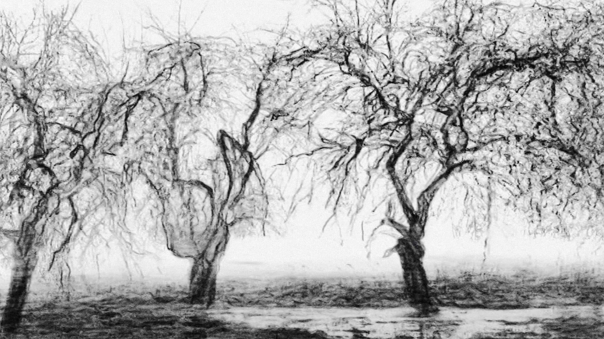 Fugue for Cello, Trumpet and Landscape