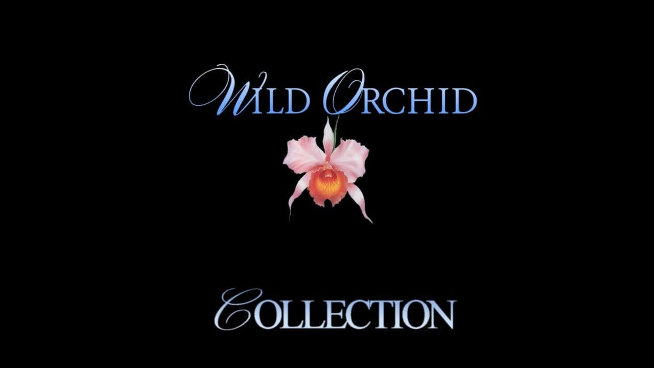 Wild Orchid Collection