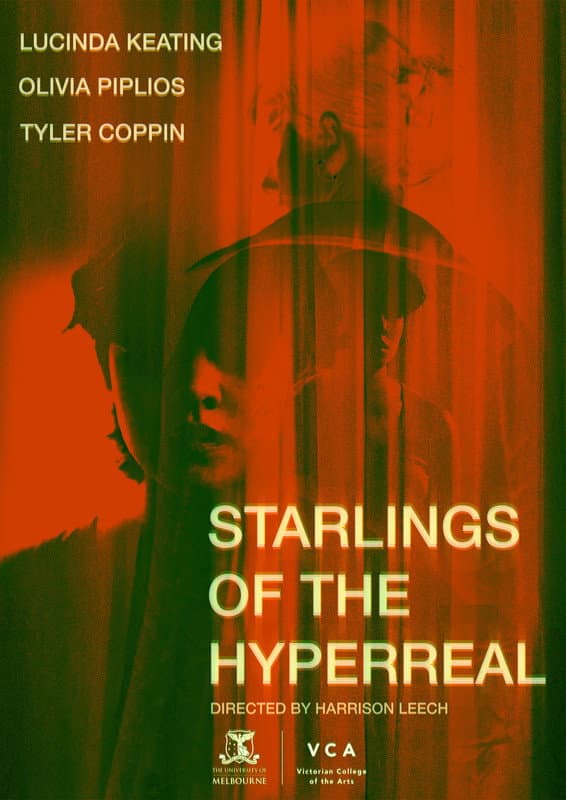 Starlings of the Hyperreal