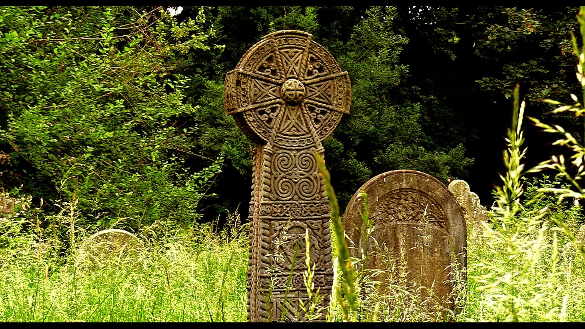 In Search of the Dead