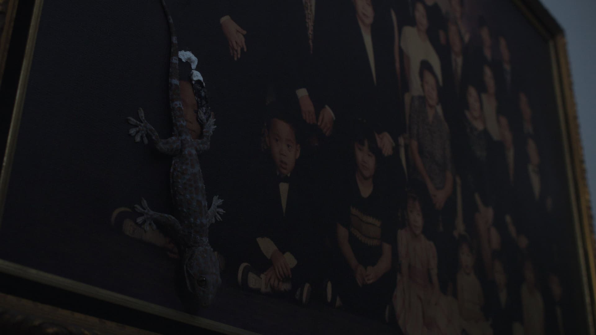 Gecko