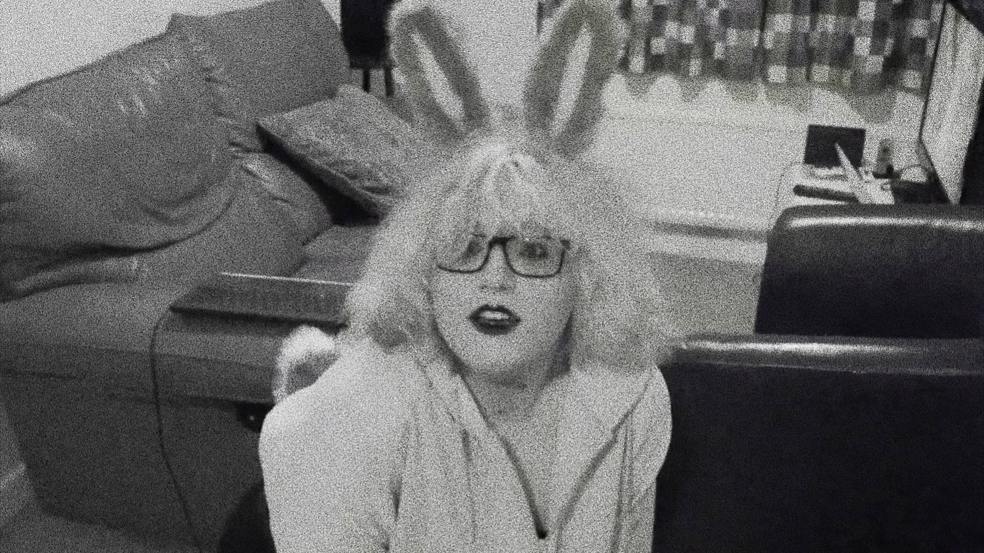Pet Bunny