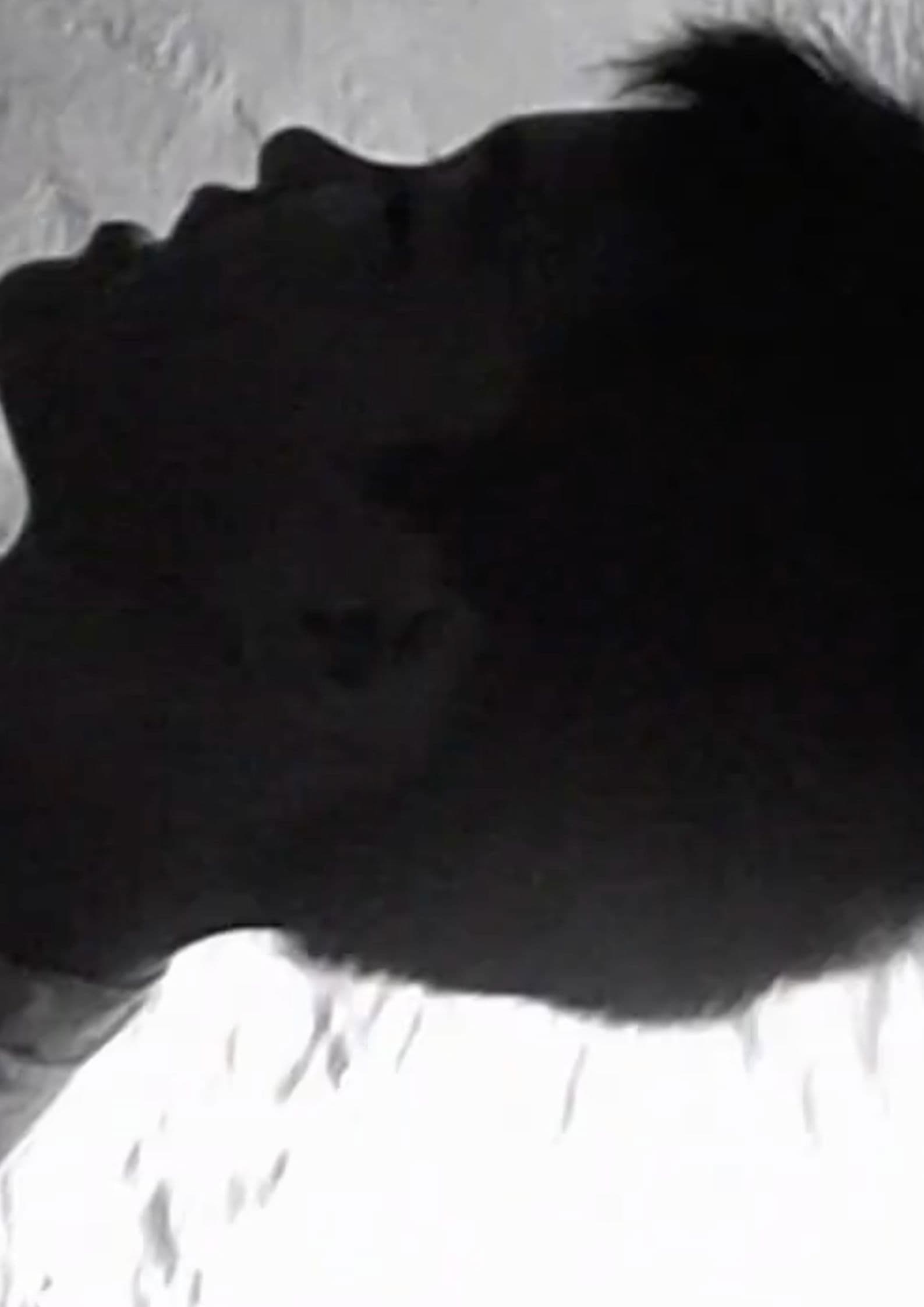 We Won't Grow Old Together