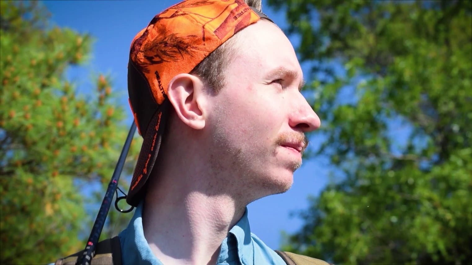 In the Realm of the Sturgeon