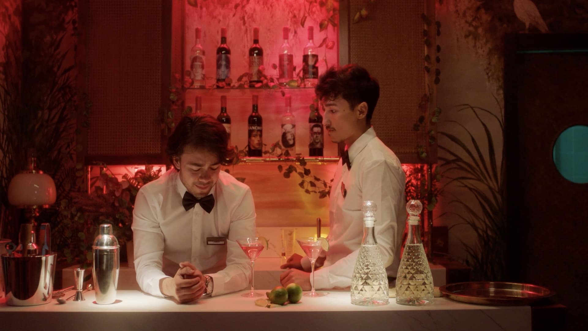 Who are the Salvatierra?