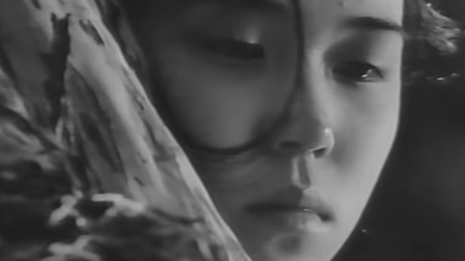 The Water Was So Clear