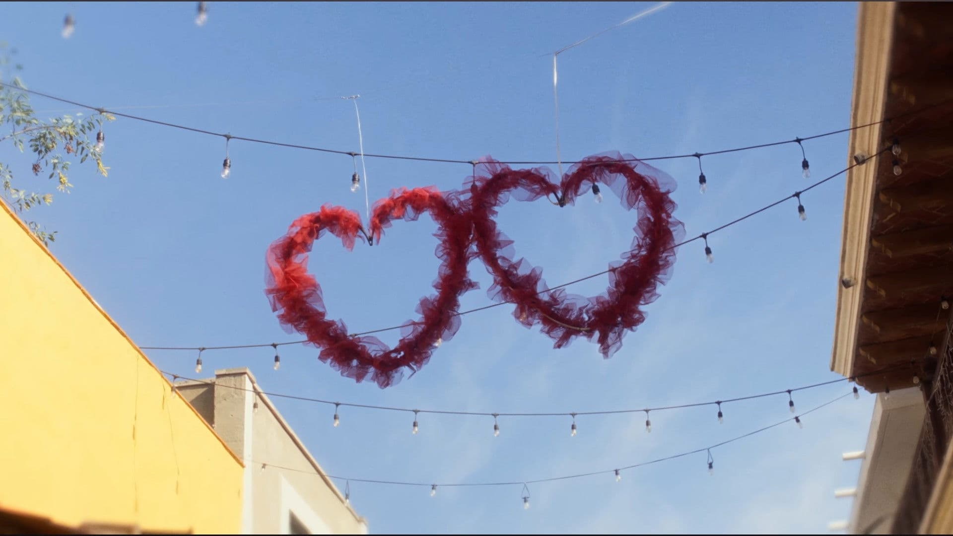 Things I Never Told You