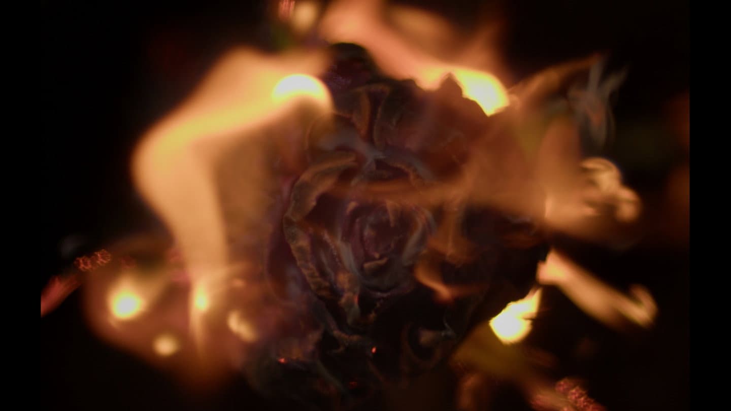 As I Burn