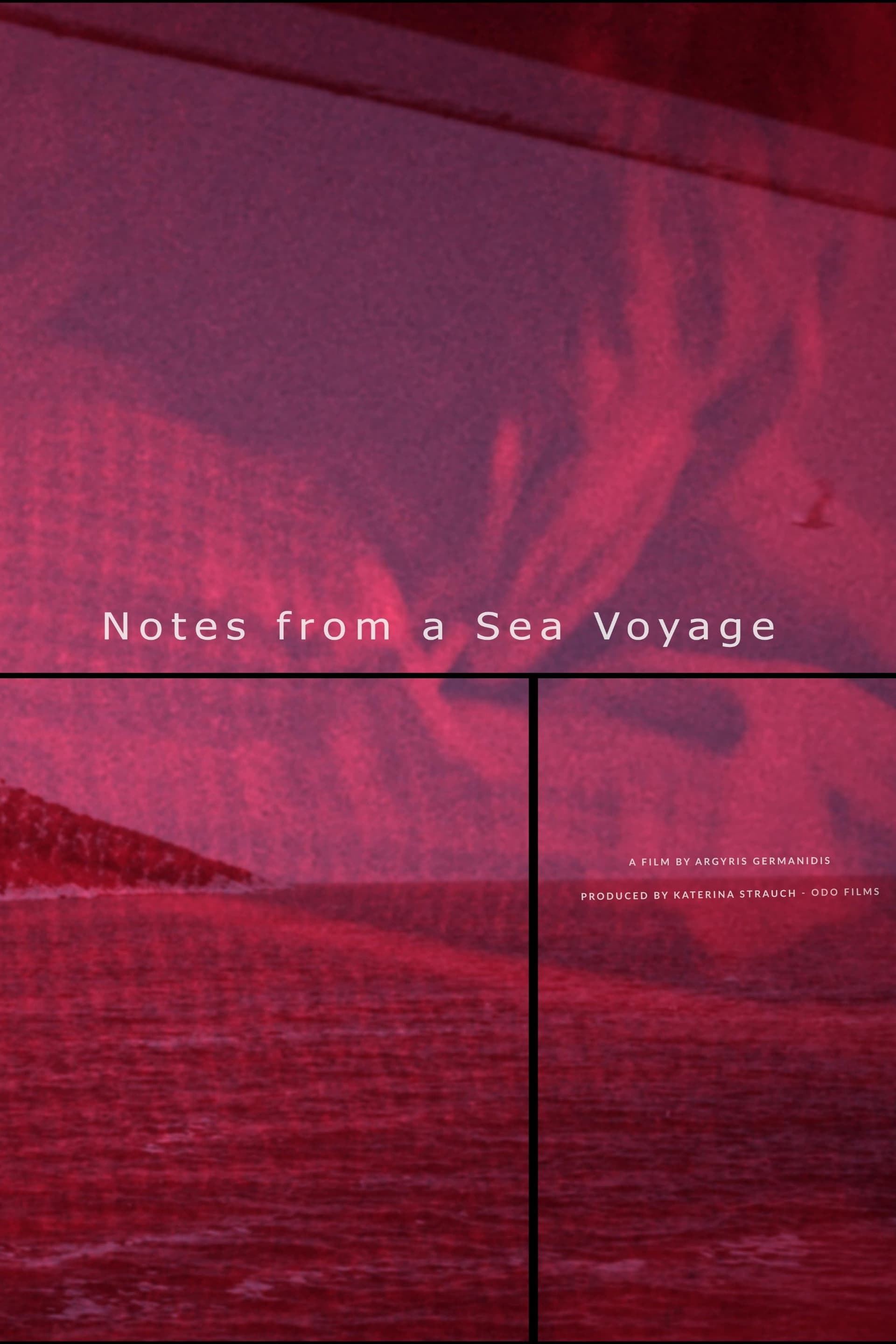 Notes from a Sea Voyage