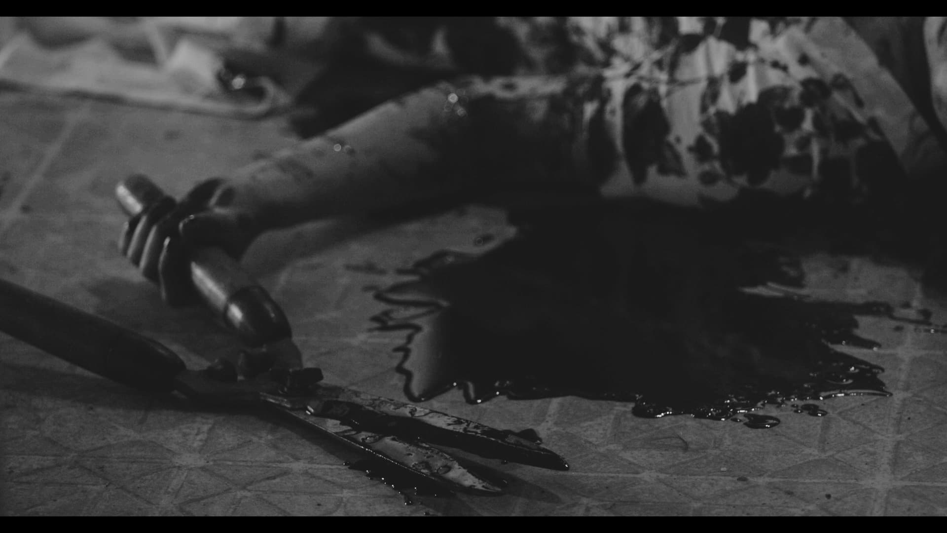 The Girl Inside The Photograph