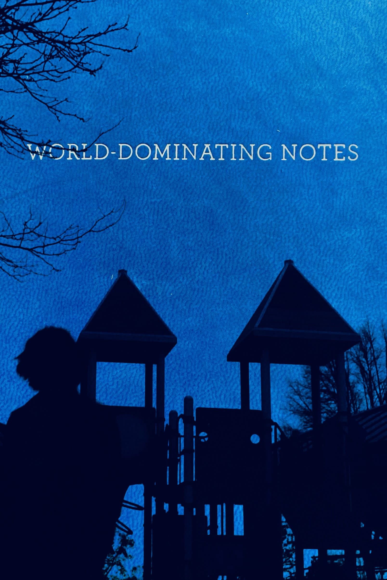 Night Rhymes: World Dominating Notes