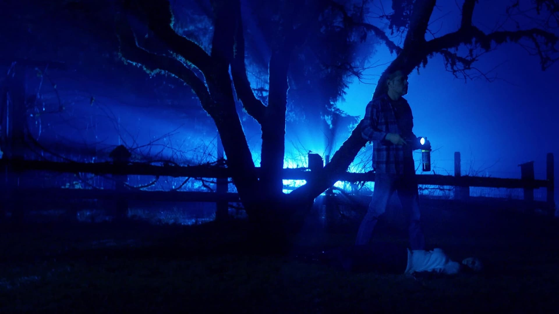 Bigfoot Killed My Wife