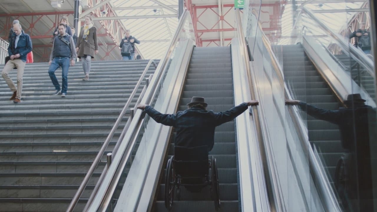 80% Disabled