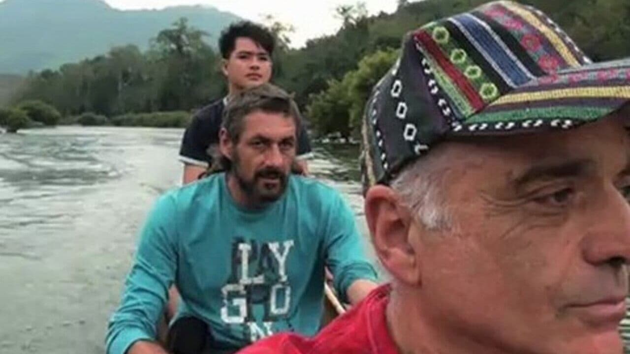 The Journey of the Hippocampus