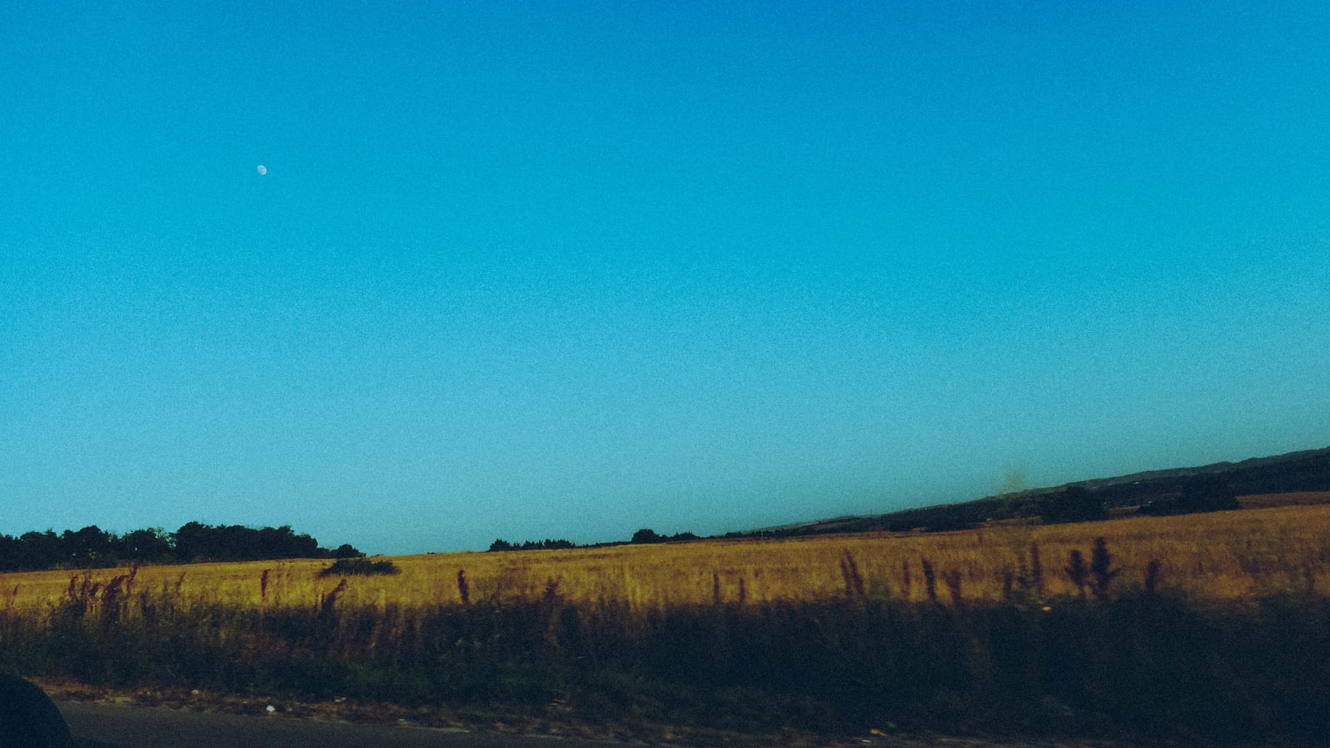 Moongazer's Moonlight Reverie