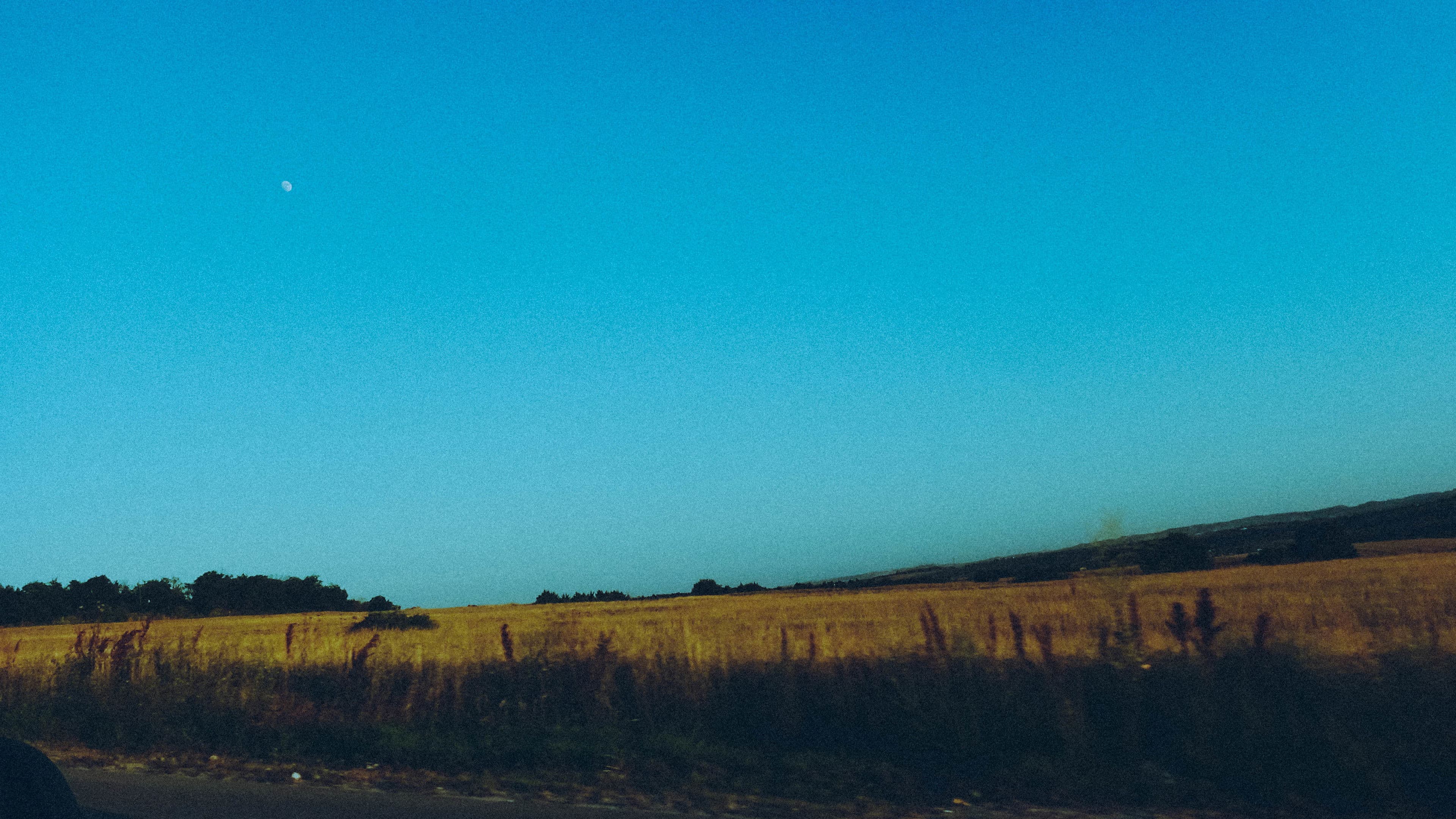 Moongazer's Moonlight Reverie