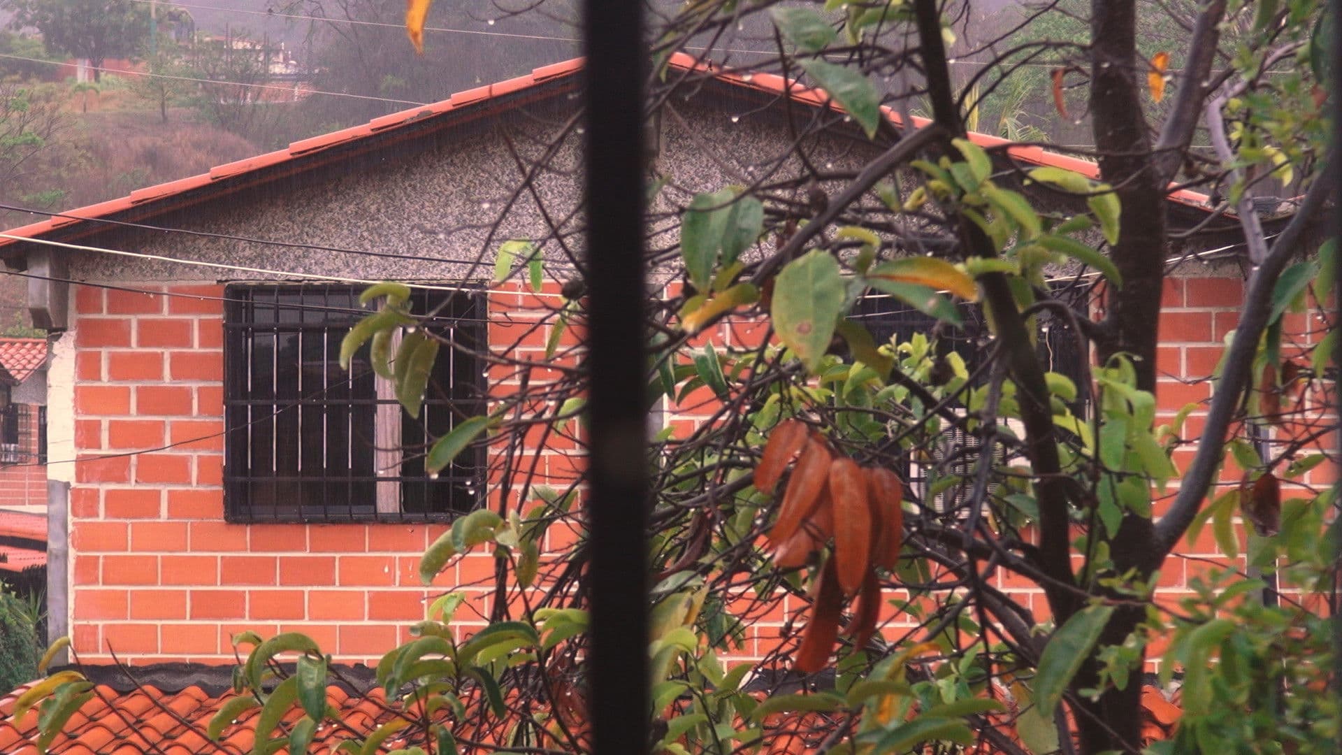 Esta casa ya no nos alberga