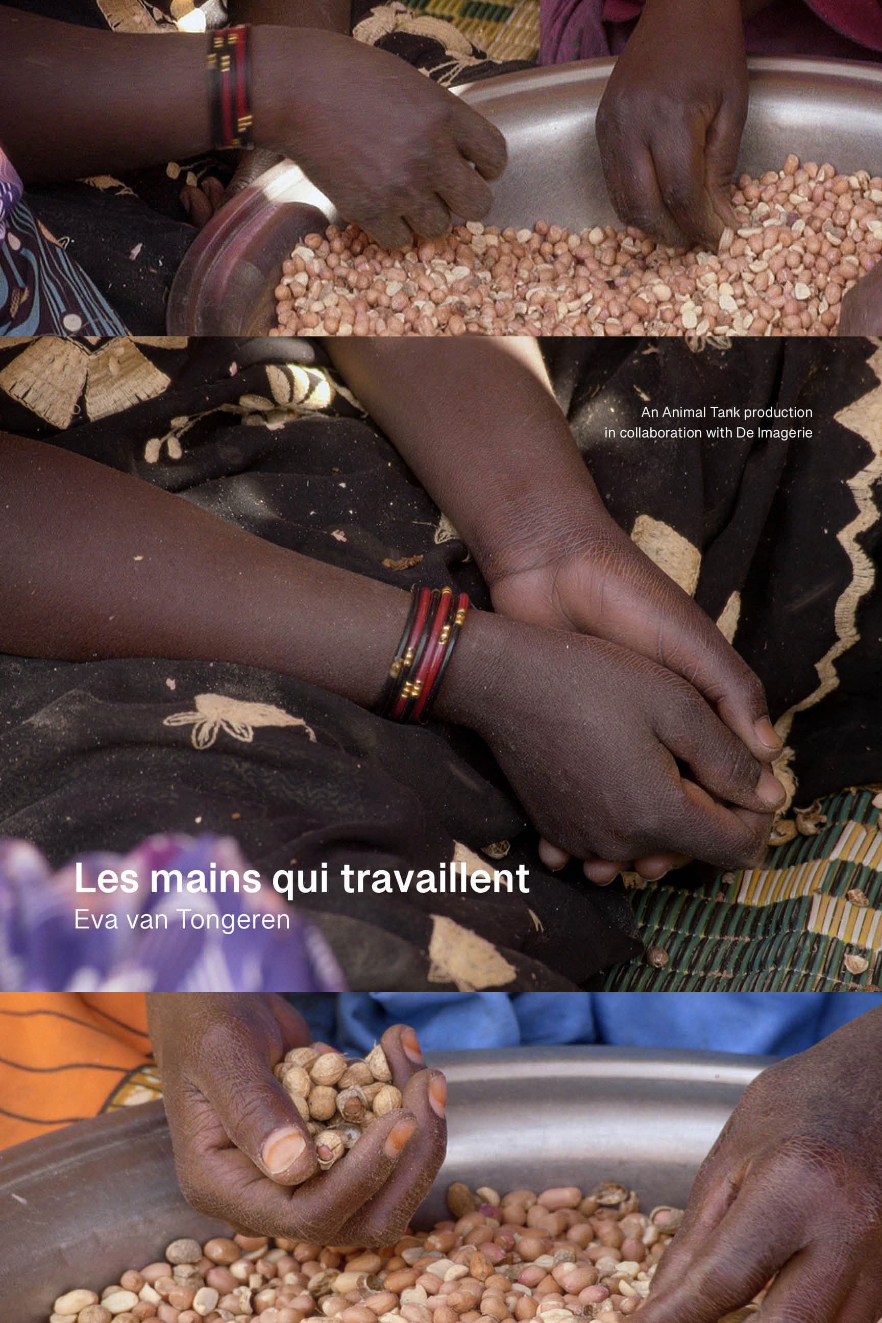 Les mains qui travaillent