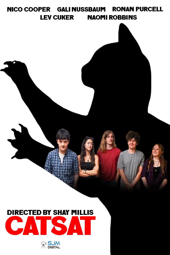 Catsat