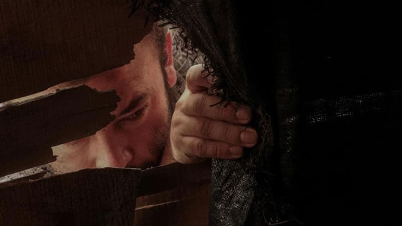 Searching for the Animal