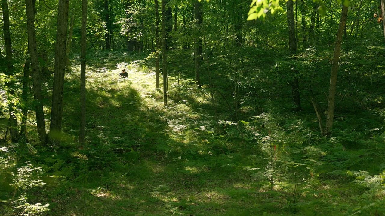 Jacob McLeod: Leelanau