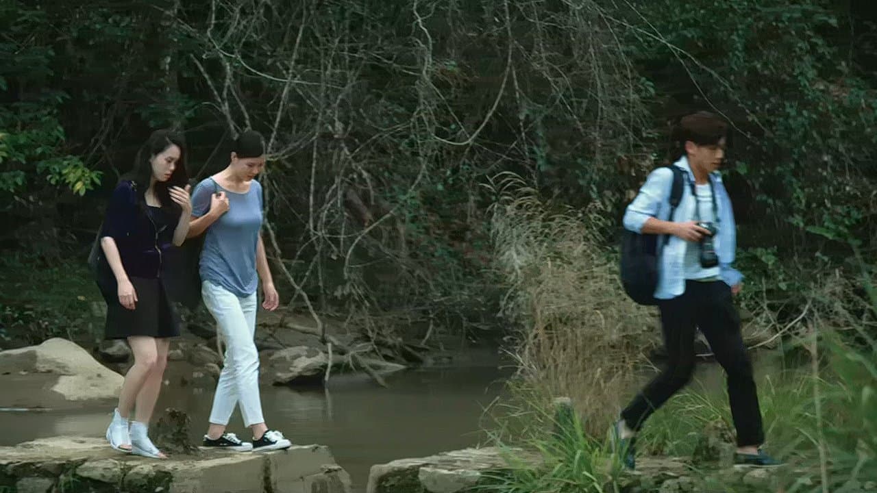 Favorite Begonia Flower