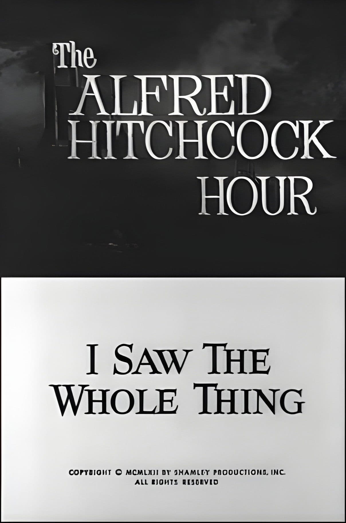 I Saw the Whole Thing