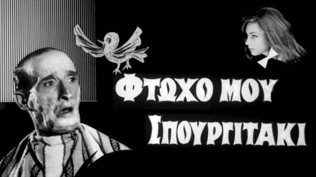 My Poor Little Sparrow