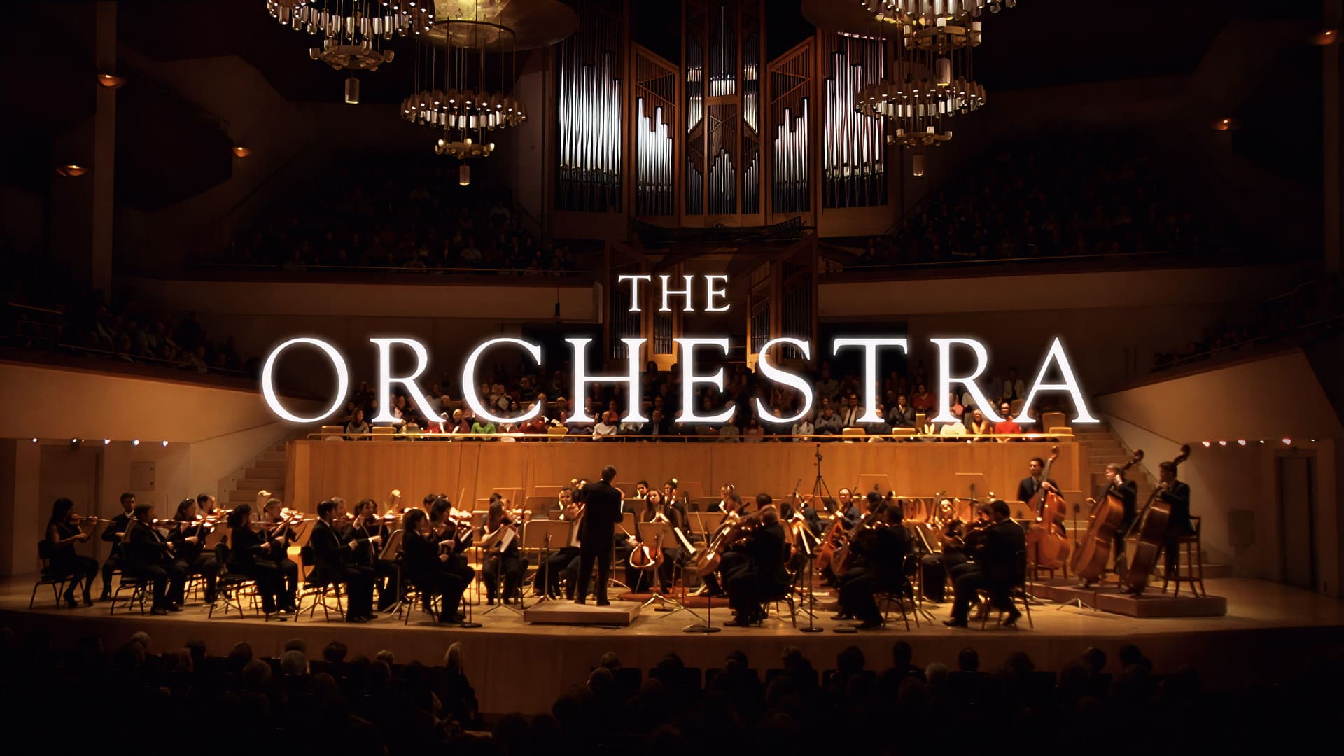 The Orchestra: Claudio Abbado and the Musicians of the Orchestra Mozart