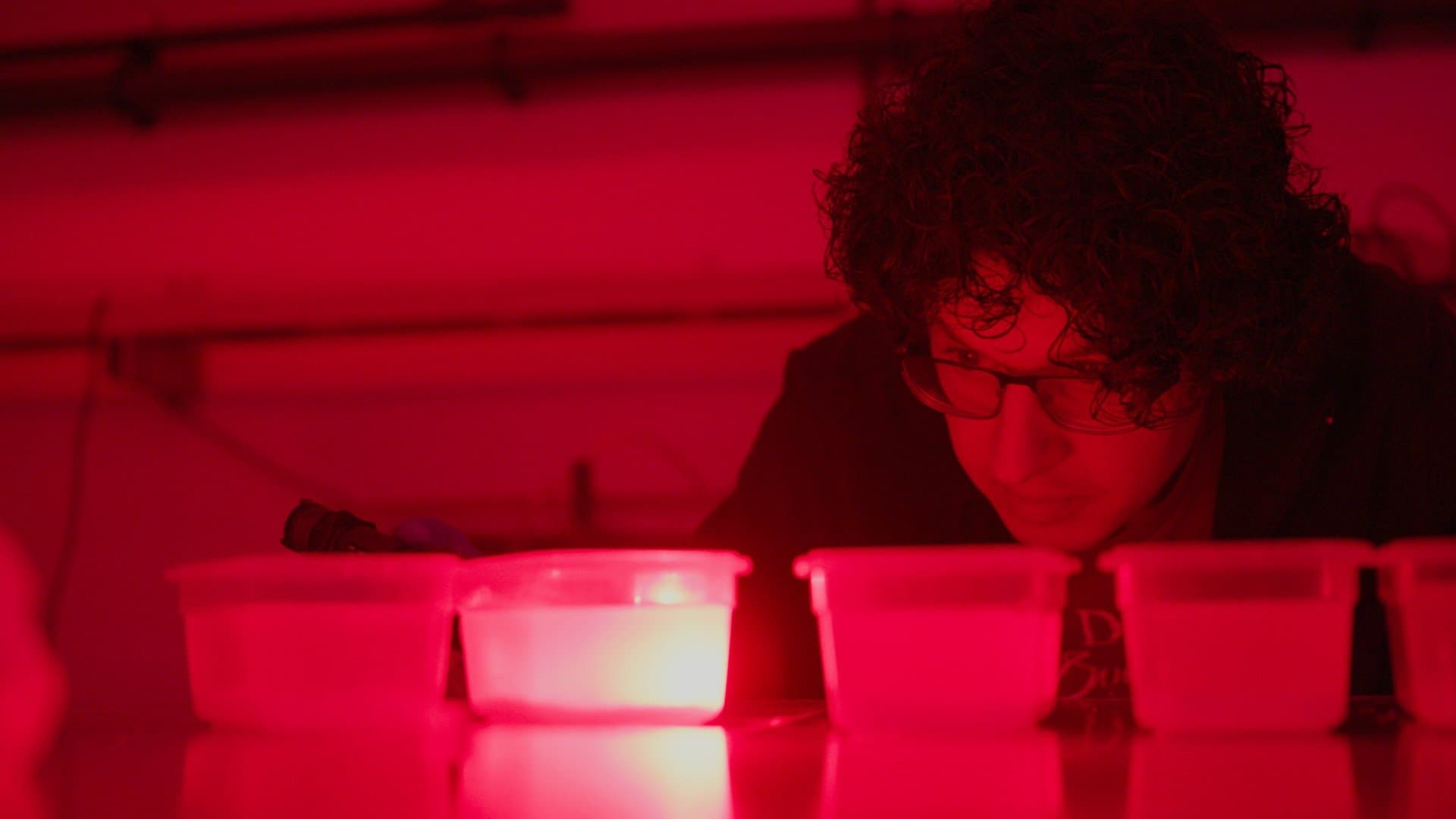 Hidden Dance of Eels