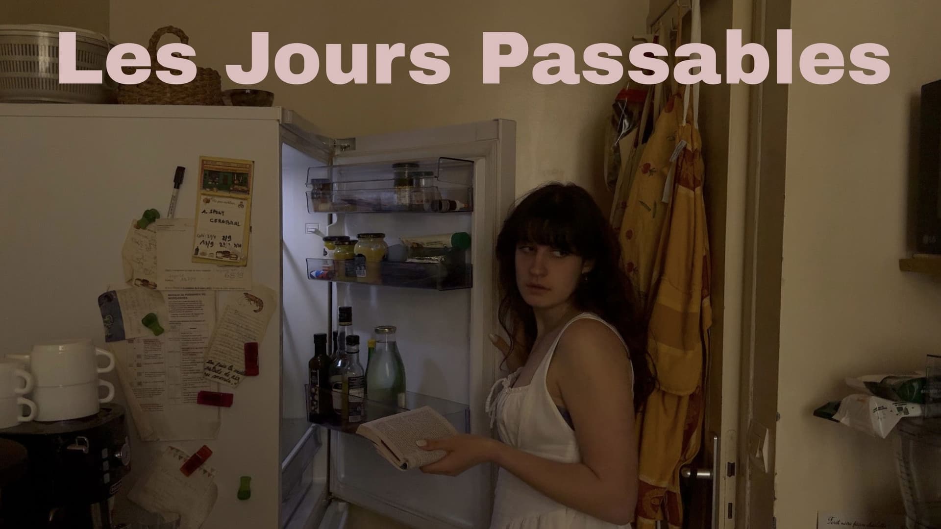 Les jours passables