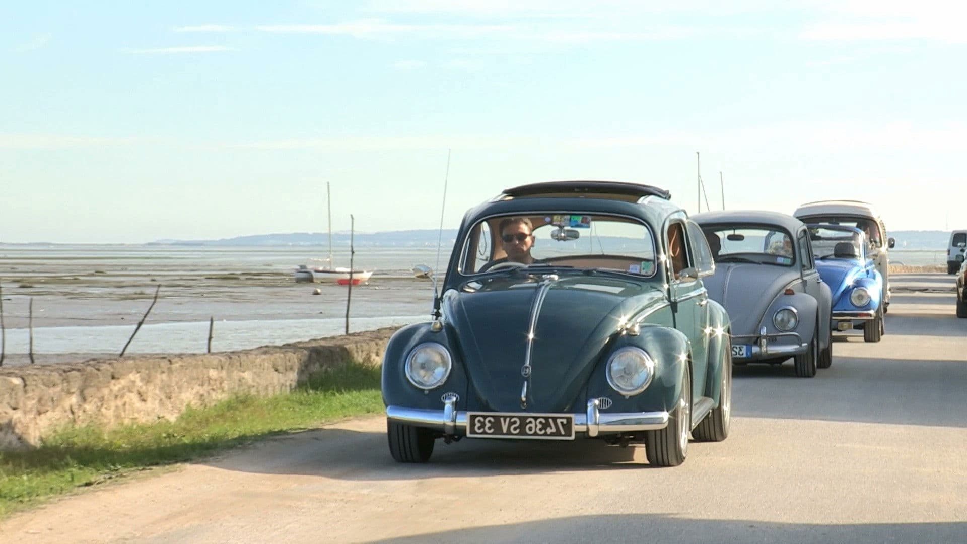 Immortelle Coccinelle