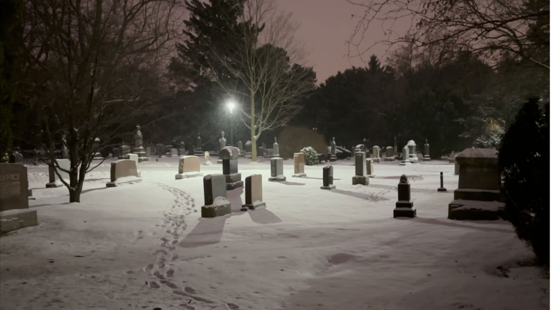 The Breath Between Us