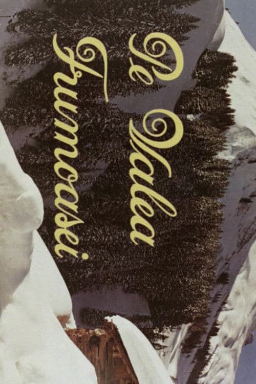 Along the Frumoasa Valley