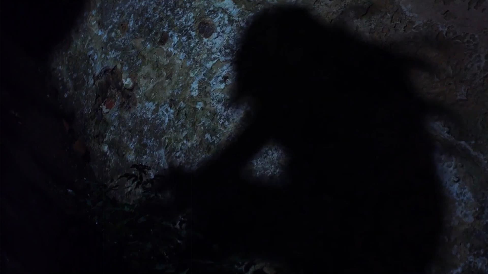 A Dark Path